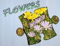 Jigsaw Puzzle Flowers Online Game