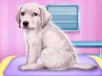 Labrador at the Doctor Salon Online Game