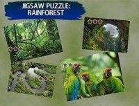 Jigsaw Puzzle Rain Forest Online Game