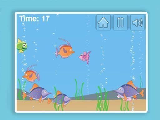 Coral Drift: Endless Swim