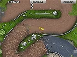 Pro Rally Circuit Racing