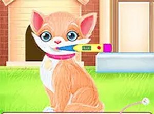 Royal Pet Care and Fashion Fun